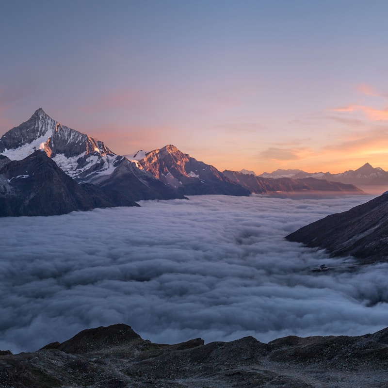 물왕저수지 풍경