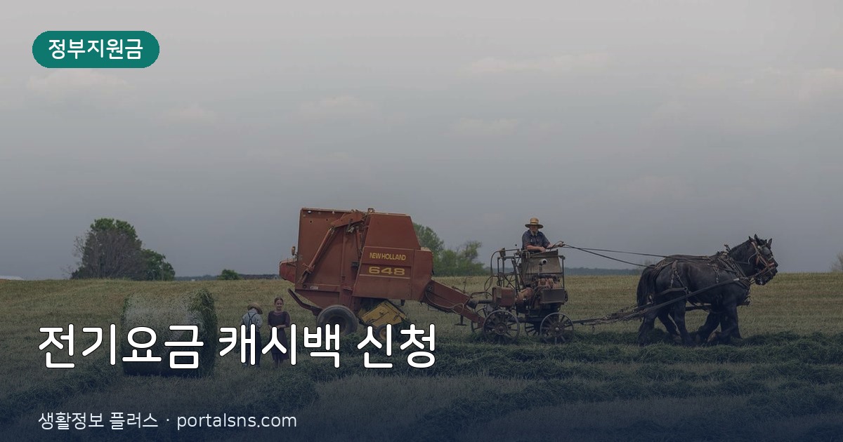 2026년 8월 전기요금 폭탄 막는 한전 에너지캐시백 신청 방법