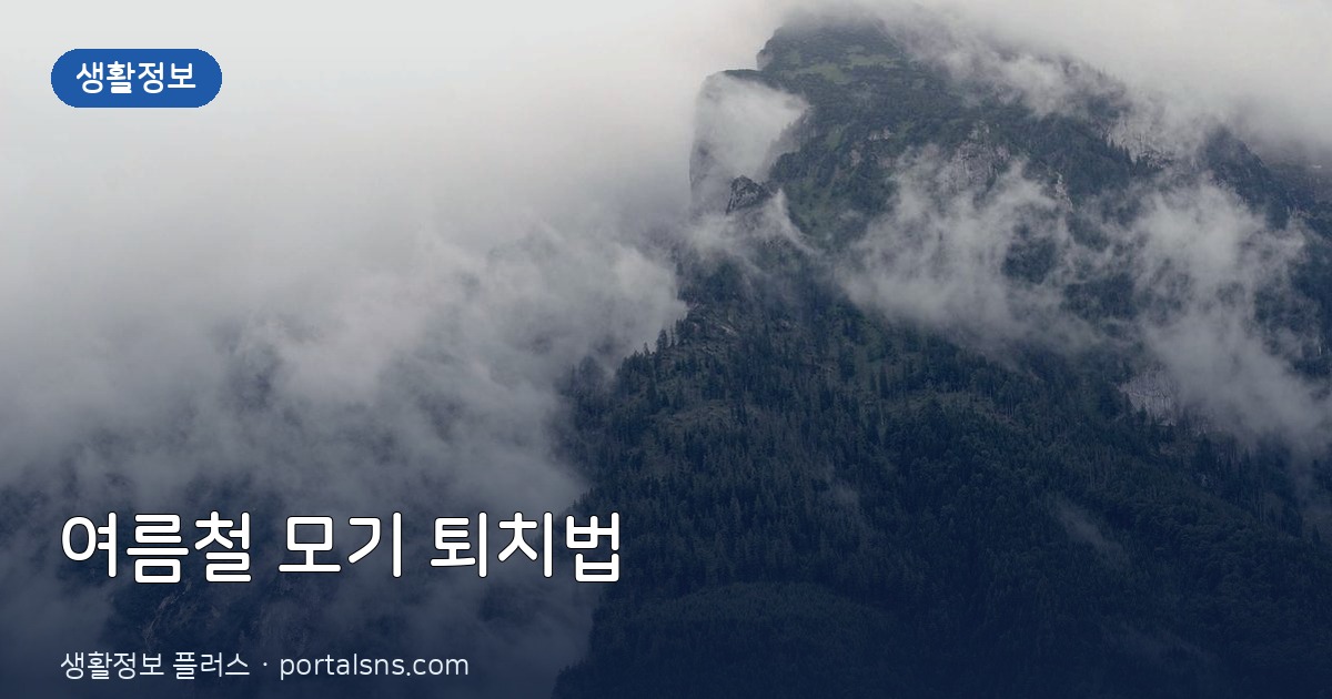 여름철 모기 퇴치 끝판왕! 친환경 기피제 만드는 5가지 방법